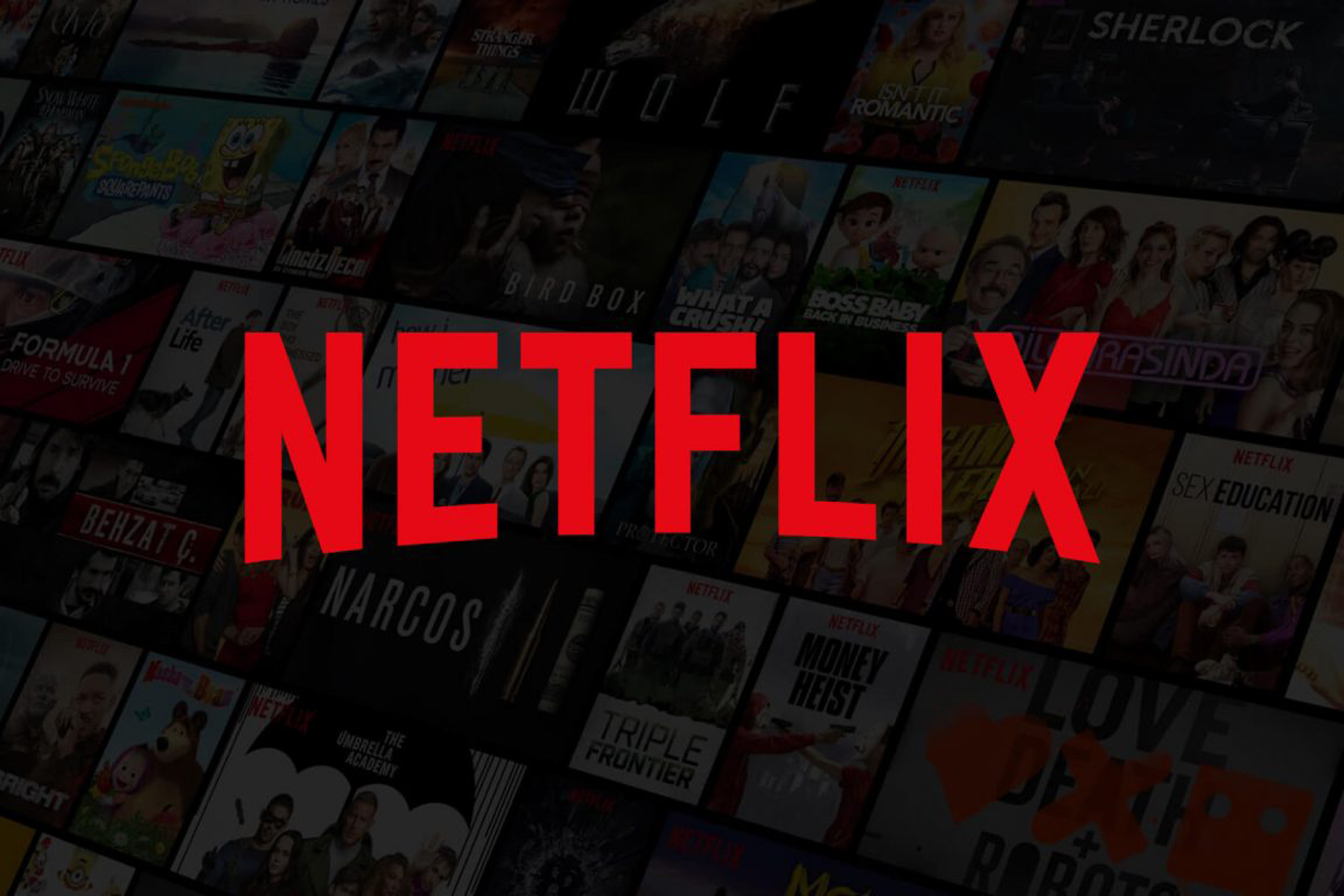 Netflix’in Sahibi Kimdir ?