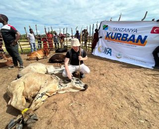 2025 Vacip Kurban Faaliyeti Afrika’da Tamamlandı
