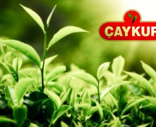 Çaykur’un Sahibi Kimdir ?