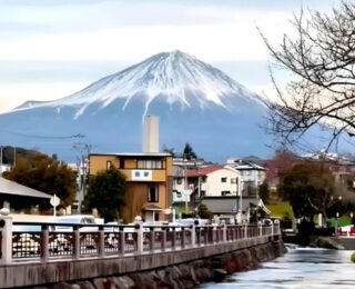 Japonya’da Fiyat Krizi: Halkın Ekonomiye Güveni Tarihi Dipte