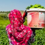 GAP Bedesten ile Kadın Emeği Yerelden Küresele Taşınıyor