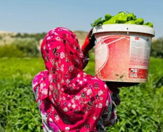 GAP Bedesten ile Kadın Emeği Yerelden Küresele Taşınıyor